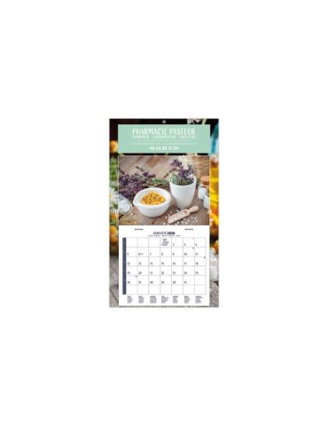 PLAQUE 1 VUE CREATION 2026 - 260 x 420 mm - DOS CARTON 350g - BLOC B1