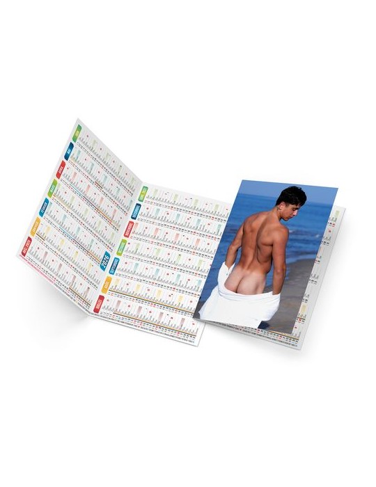 ADAM 2026 - NEUTRE 1 POSE