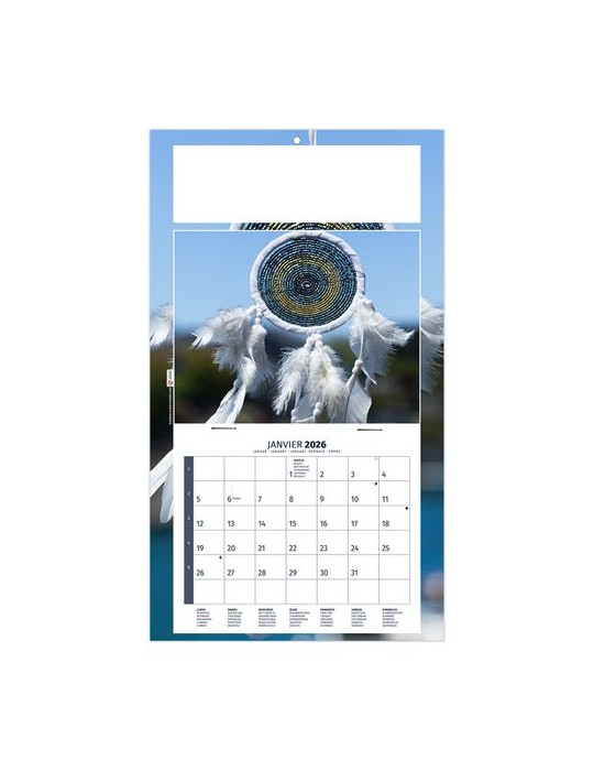 PLAQUE 1 VUE MEDITATION 2026 - DOS CARTON - BLOC B2 - SANS MARQUAGE