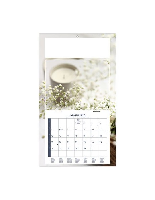 PLAQUE 1 VUE MEDITATION 2026 - DOS CARTON - BLOC B2 - SANS MARQUAGE