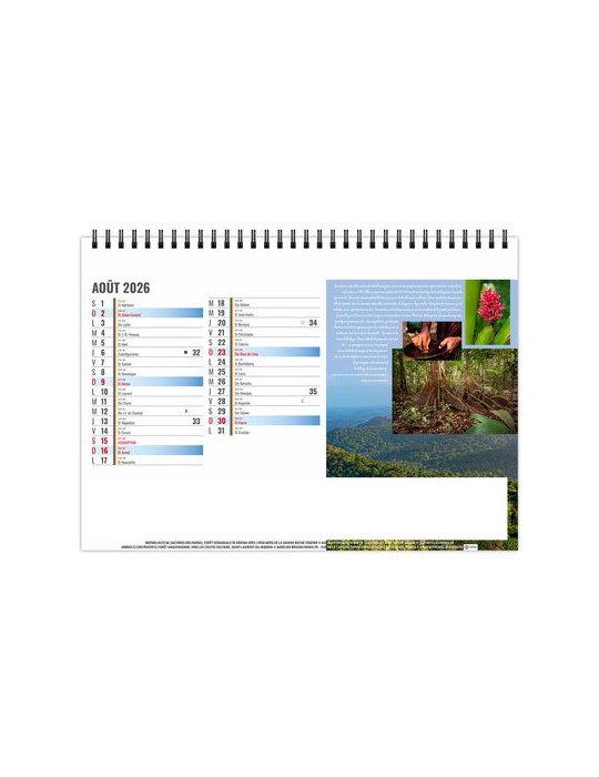 CHEVALET STANDARD 13F - EQUATEUR 2026 - QUADRI