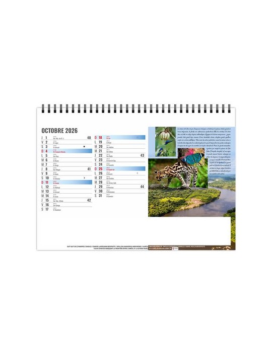 CHEVALET STANDARD 13F - EQUATEUR 2026 - QUADRI