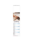 LANGUETTE - NUISETTE 2026 - QUADRI personnalisation rapide en France