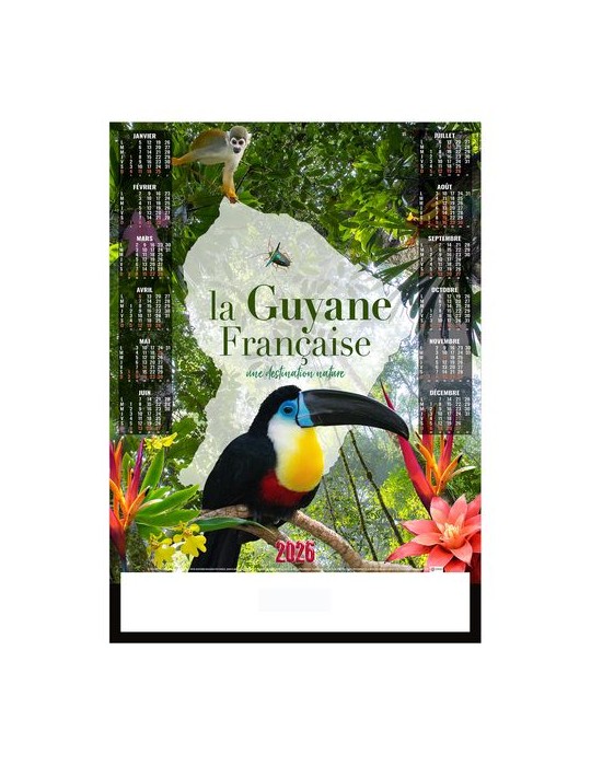 POSTER - CREOLE 2026 - QUADRI