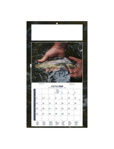 PLAQUE 1 VUE MAX 2026 - DOS CARTON - EURO BLOC - SANS MARQUAGE