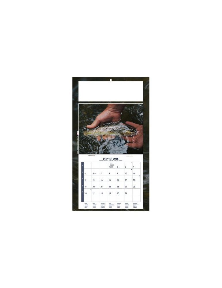 PLAQUE 1 VUE MAX 2026 - DOS CARTON - EURO BLOC - SANS MARQUAGE