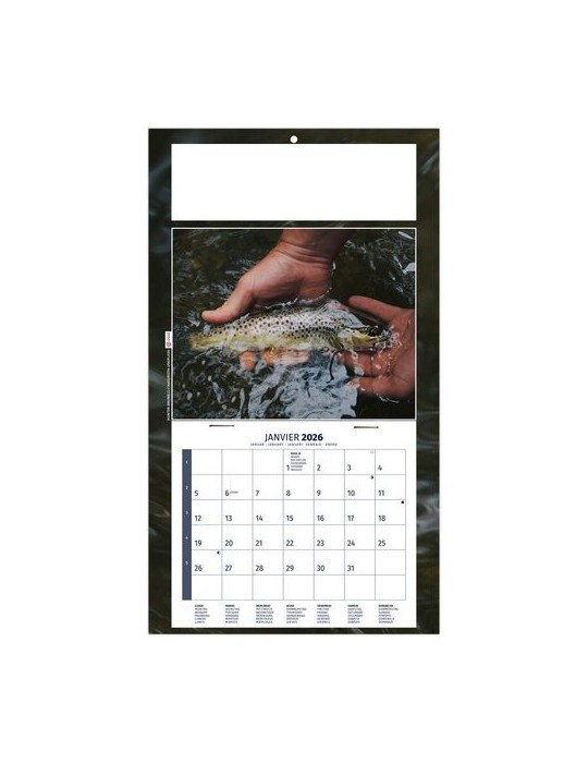 PLAQUE 1 VUE MAX 2026 - DOS CARTON - EURO BLOC - SANS MARQUAGE