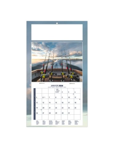 PLAQUE 1 VUE MAX 2026 - DOS CARTON - EURO BLOC - SANS MARQUAGE 2