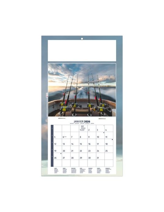 PLAQUE 1 VUE MAX 2026 - DOS CARTON - EURO BLOC - SANS MARQUAGE