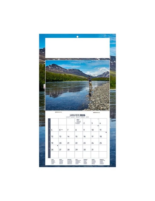 PLAQUE 1 VUE MAX 2026 - DOS CARTON - EURO BLOC - SANS MARQUAGE