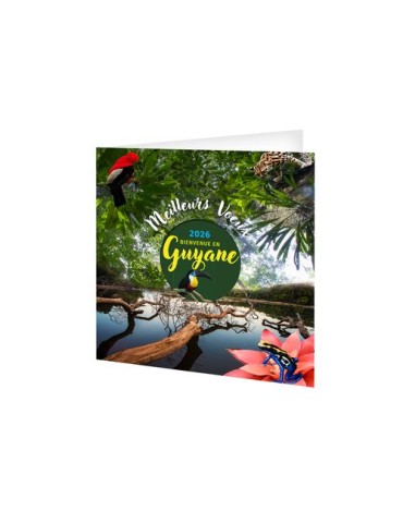 CARTE DE VOEUX - L'EMERAUDE 2026  AVEC ENVELOPPE - SANS MARQUAGE