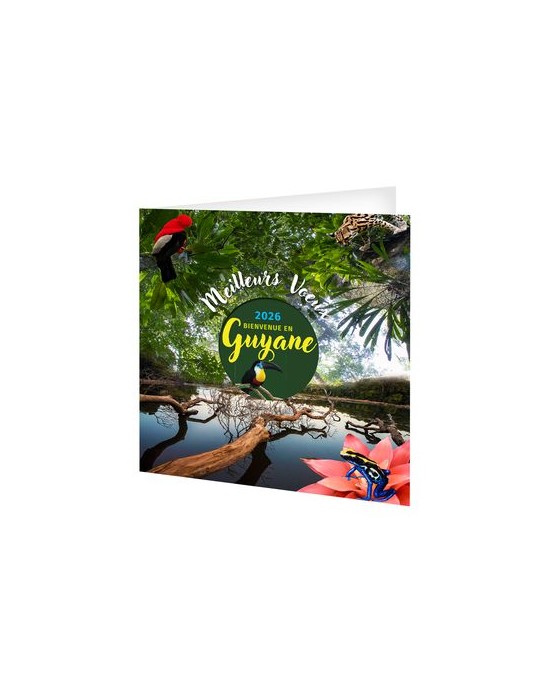 CARTE DE VOEUX - L'EMERAUDE 2026  AVEC ENVELOPPE - SANS MARQUAGE