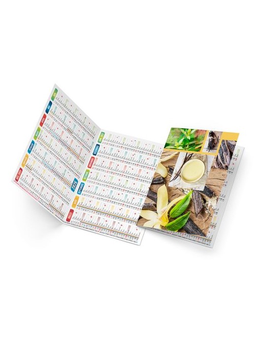 EMMA 2026 - NEUTRE 1 POSE