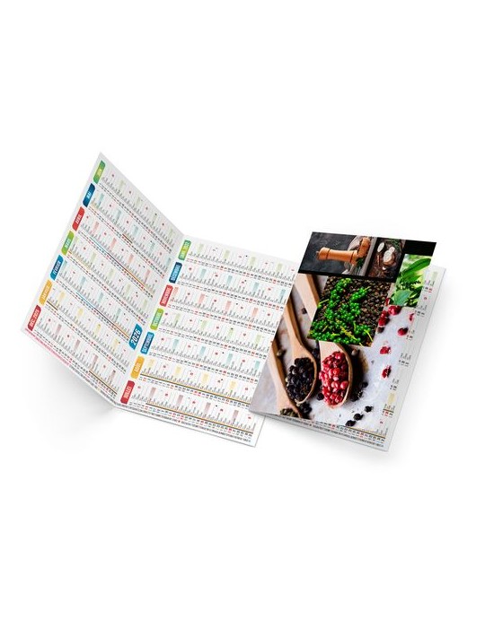 EMMA 2026 - NEUTRE 1 POSE