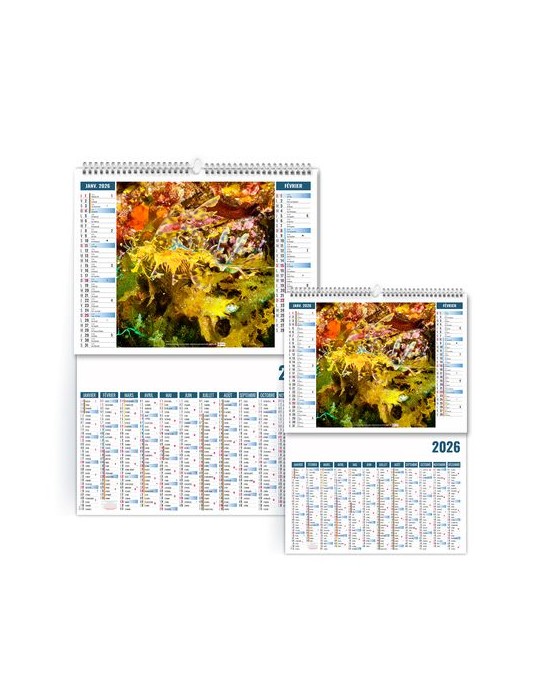 2EN1 - MIMETISME 2026 - XXL 474 x 700 mm - MARQUAGE 1 COULEUR