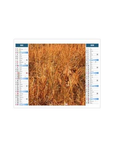 2EN1 - MIMETISME 2026 - XXL 474 x 700 mm - MARQUAGE 1 COULEUR livraison express 24h 48h