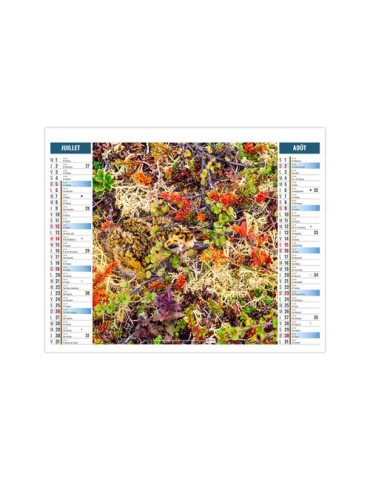 2EN1 - MIMETISME 2026 - XXL 474 x 700 mm - MARQUAGE 1 COULEUR cadeau collaborateur premium