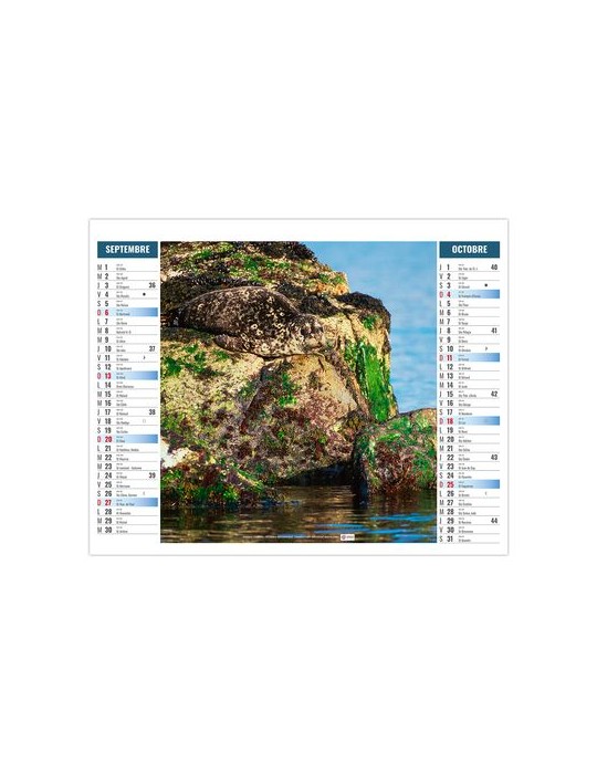 2EN1 - MIMETISME 2026 - XXL 474 x 700 mm - MARQUAGE 1 COULEUR