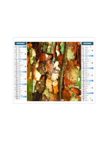 2EN1 - MIMETISME 2026 - XXL 474 x 700 mm - MARQUAGE 1 COULEUR impression logo haute qualité