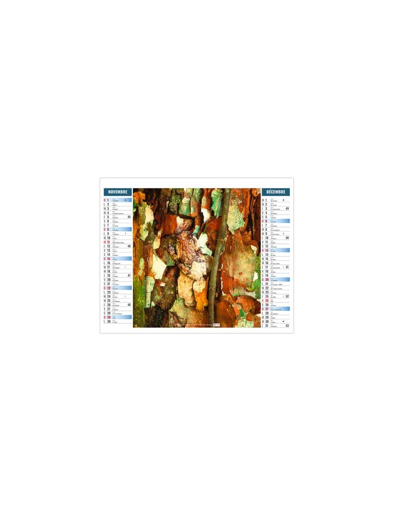 2EN1 - MIMETISME 2026 - XXL 474 x 700 mm - MARQUAGE 1 COULEUR