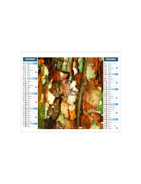 2EN1 - MIMETISME 2026 - XXL 474 x 700 mm - MARQUAGE 1 COULEUR