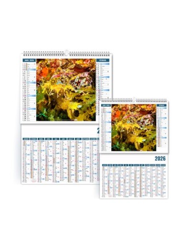 2EN1 - MIMETISME 2026 - XXL 474 x 700 mm - MARQUAGE 1 COULEUR 2