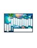 PLANETE 2026 - MAXI 650 x 405 mm - LEGER 400G RECTO SEUL - SANS MARQUAGE - 1 TROU EN TETE personnalisable avec votre logo