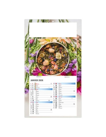 PLAQUE 1 VUE PHYTO 2026 - DOS CARTON - BLOC B2 - SANS MARQUAGE