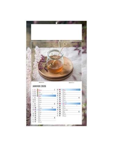 PLAQUE 1 VUE PHYTO 2026 - DOS CARTON - BLOC B2 - SANS MARQUAGE 2