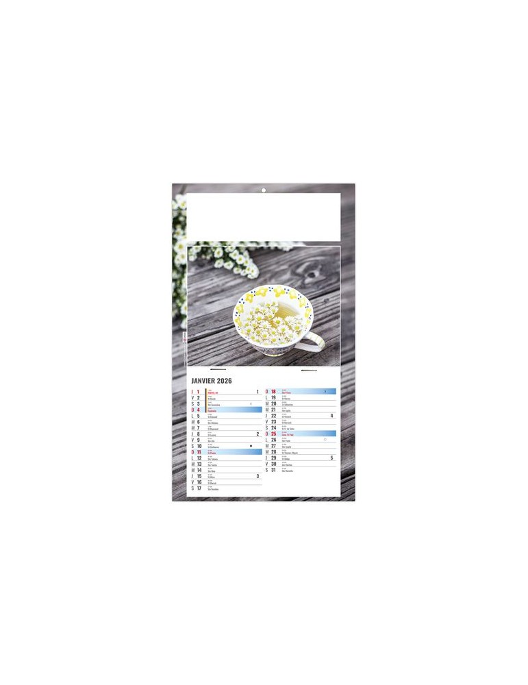 PLAQUE 1 VUE PHYTO 2026 - DOS CARTON - BLOC B2 - SANS MARQUAGE