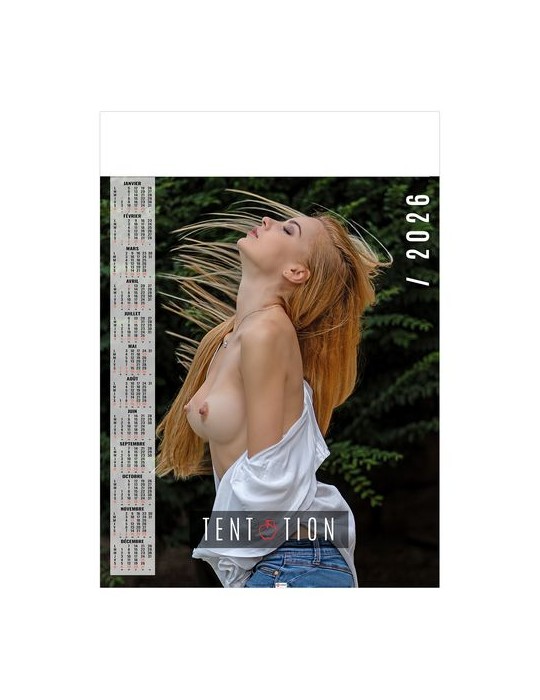 POSTER - SENTIMENTS 2026 - QUADRI