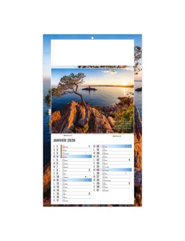 PLAQUE 1 VUE ALAIN 2026 - DOS CARTON - BLOC B2 - SANS MARQUAGE