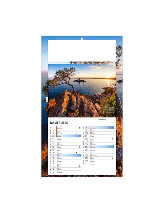 PLAQUE 1 VUE ALAIN 2026 - DOS CARTON - BLOC B2 - SANS MARQUAGE