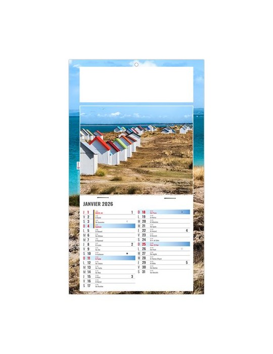 PLAQUE 1 VUE ALAIN 2026 - DOS CARTON - BLOC B2 - SANS MARQUAGE