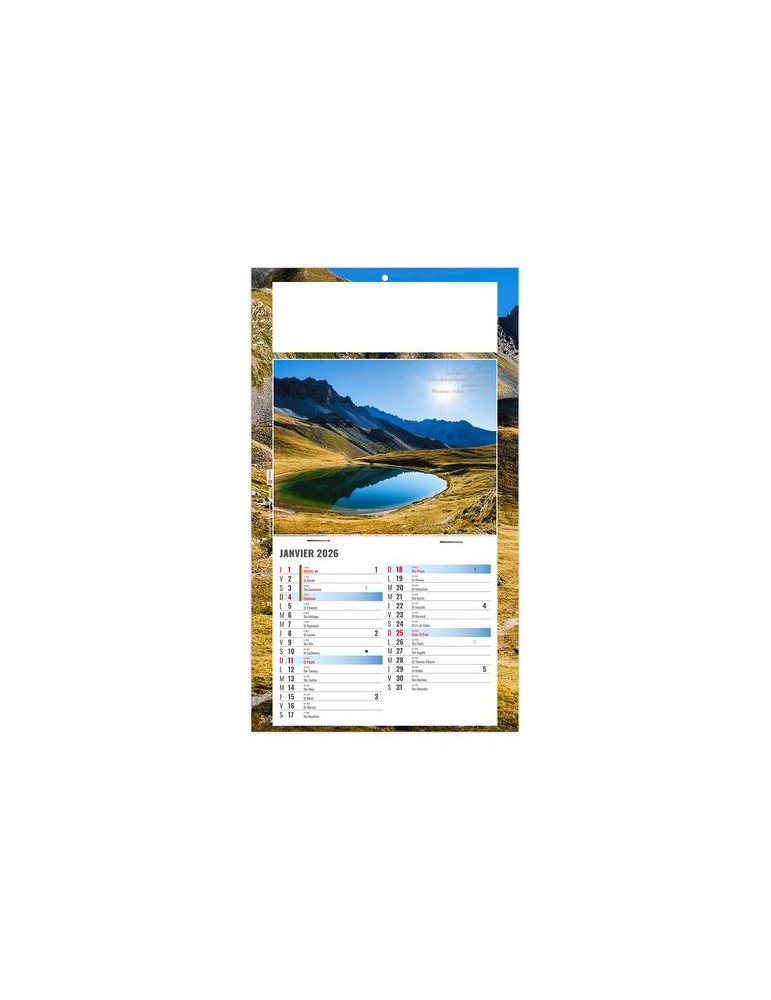 PLAQUE 1 VUE ALAIN 2026 - DOS CARTON - BLOC B2 - SANS MARQUAGE