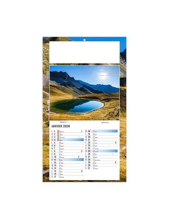 PLAQUE 1 VUE ALAIN 2026 - DOS CARTON - BLOC B2 - SANS MARQUAGE