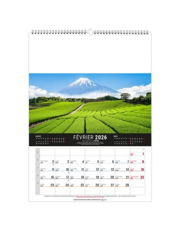 MURAL 12F - MONDE 2026 - QUADRI 2