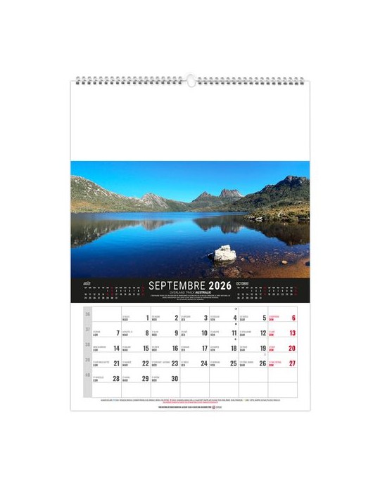 MURAL 12F - MONDE 2026 - QUADRI