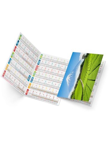 ROBERTO 2026 - NEUTRE 1 POSE