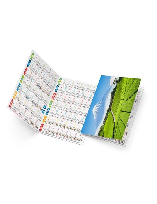 ROBERTO 2026 - NEUTRE 1 POSE