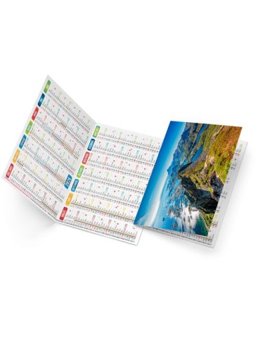 ROBERTO 2026 - NEUTRE 1 POSE 2