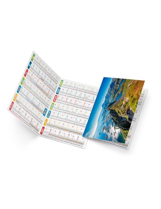 ROBERTO 2026 - NEUTRE 1 POSE