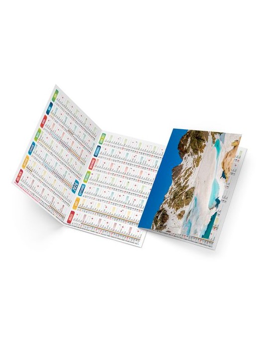 ROBERTO 2026 - NEUTRE 1 POSE