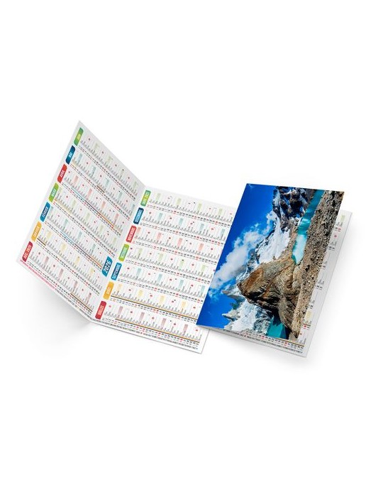 ROBERTO 2026 - NEUTRE 1 POSE