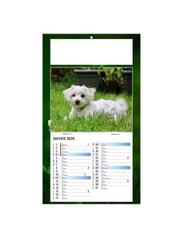 PLAQUE 1 VUE REX 2026 - DOS CARTON - BLOC B2 - SANS MARQUAGE 2