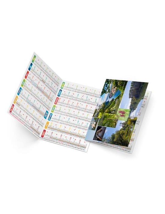 BAPTISTE 2026 - NEUTRE 1 POSE