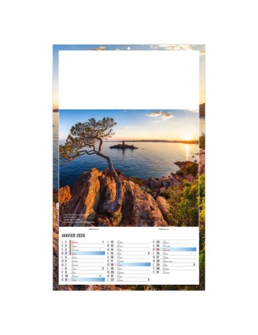 PLAQUE 1 VUE SAM 2026 - DOS CARTON ET BLOC B1 - SANS MARQUAGE