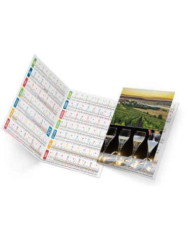 ARTHUR 2026 - NEUTRE 1 POSE