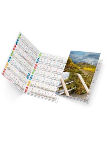 ARTHUR 2026 - NEUTRE 1 POSE 2