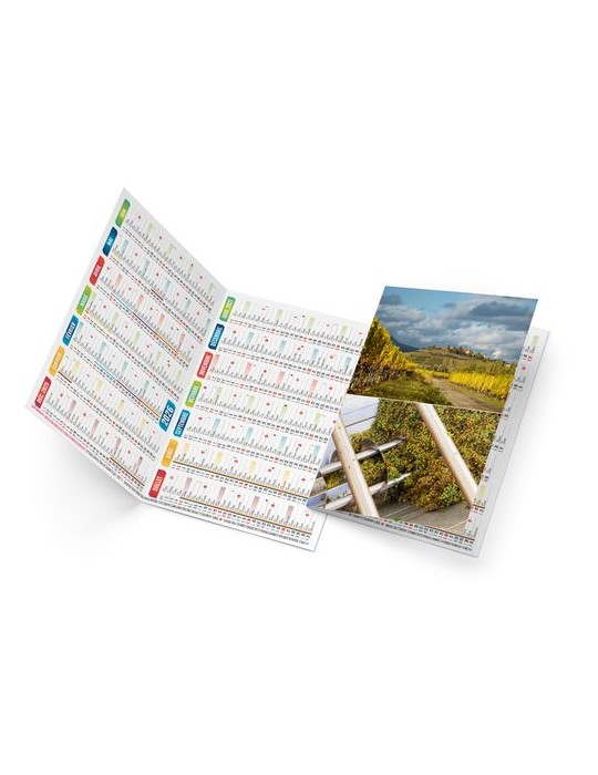 ARTHUR 2026 - NEUTRE 1 POSE